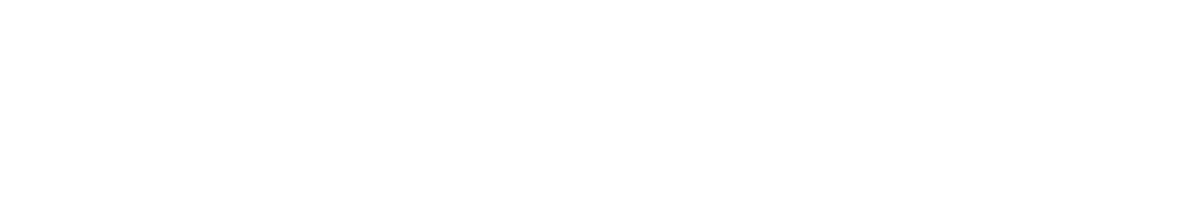 Prudent Consulting logo for IT and digital transformation services.